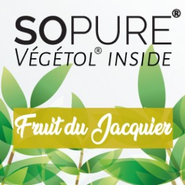 Fruit du Jacquier