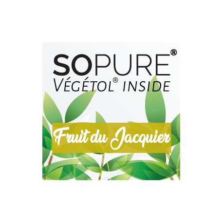 Fruit du Jacquier