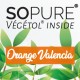 Orange Valencia