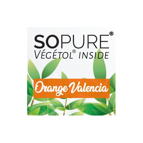 Orange Valencia